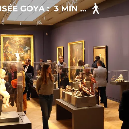 L'opale - Duplex Calme & Confort En Hypercentre * Castres (Tarn)