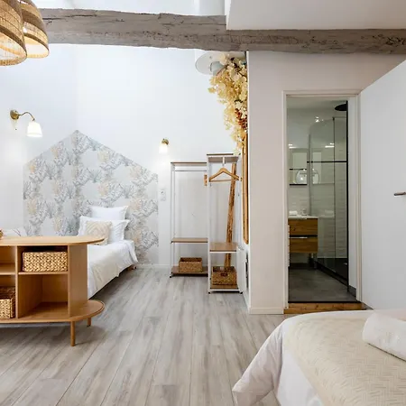 L'opale - Duplex Calme & Confort En Hypercentre Castres (Tarn)