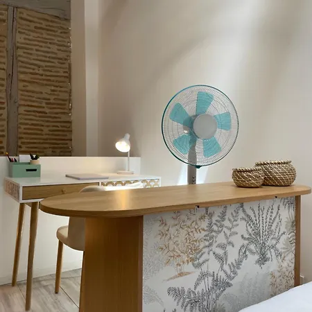 L'opale - Duplex Calme & Confort En Hypercentre Castres (Tarn)