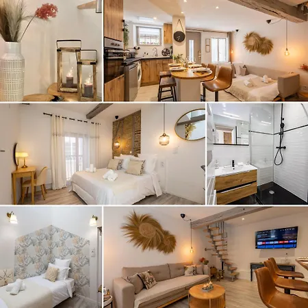 Appartement L'opale - Duplex Calme & Confort En Hypercentre Castres (Tarn)