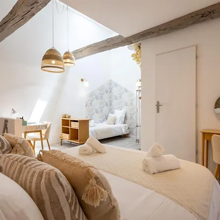 L'opale - Duplex Calme & Confort En Hypercentre Appartement *