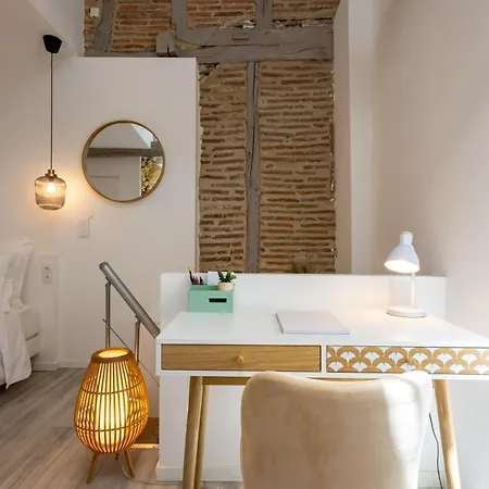 L'opale - Duplex Calme & Confort En Hypercentre * Castres (Tarn)