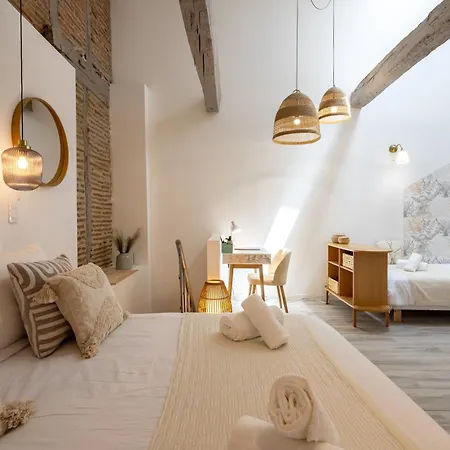 L'opale - Duplex Calme & Confort En Hypercentre *