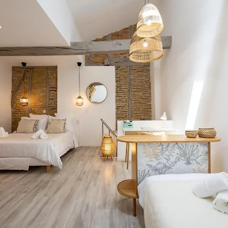 L'opale - Duplex Calme & Confort En Hypercentre Daire Castres (Tarn)