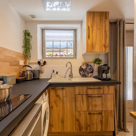 L'opale - Duplex Calme & Confort En Hypercentre * Castres (Tarn)