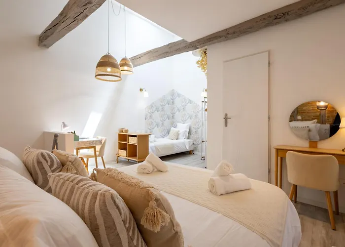 L'opale - Duplex Calme & Confort En Hypercentre Апартаменты *